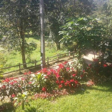 Phuoobfa Resort Pong Yaeng Екстериор снимка